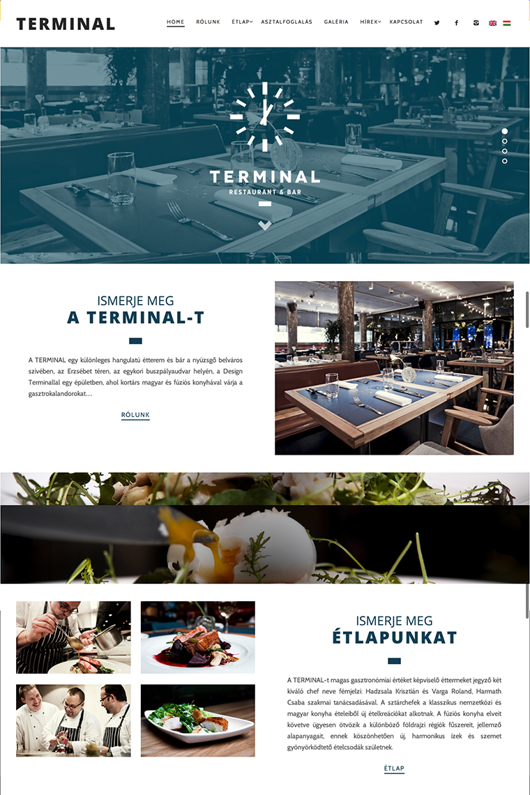 Terminal - website